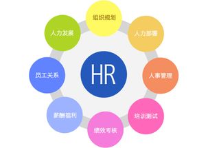 行政管理、人力資源管理、工商企業管理 企業管理三大領域的比較與選擇